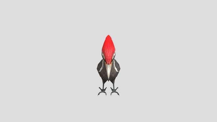 pileated_woodpecker 3D Model