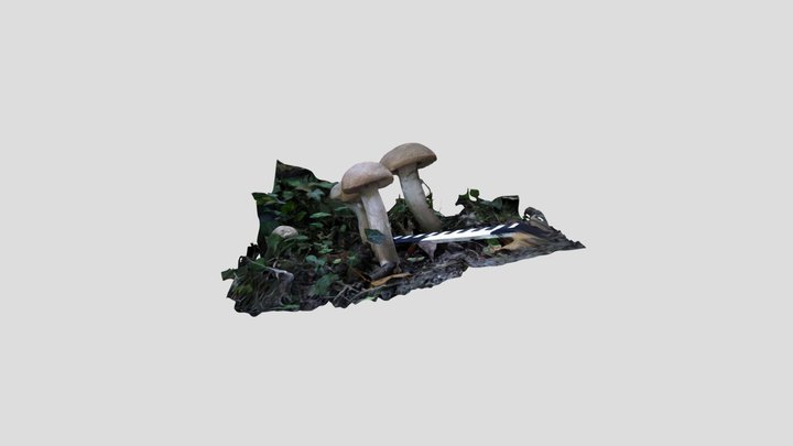 Bolete 2 Kiri masked – Modello 3D gratuito STL