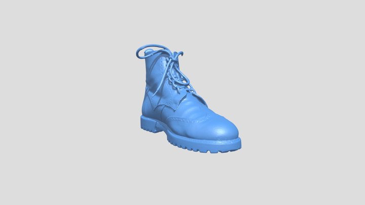 Boots Revopoint Inspire 3D Model