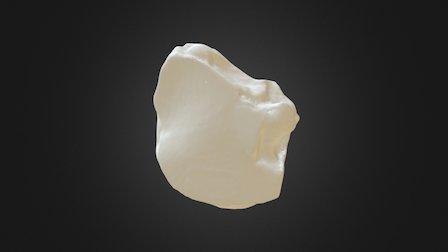 1310002 Fused 2nd And 3rd Carpal Right 3D Model
