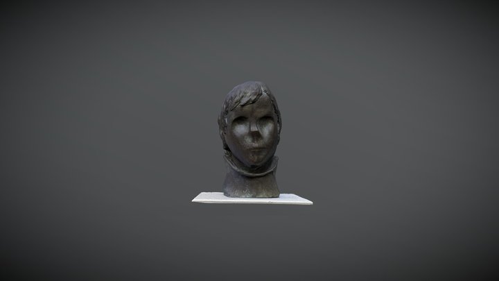 Face 3D Model