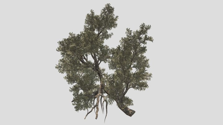 Tree (part8) – Modello 3D gratuito STL