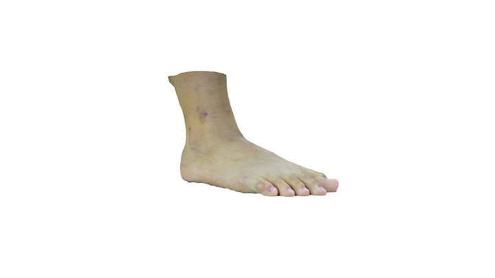 Footcare_02 (Right) 3D Model