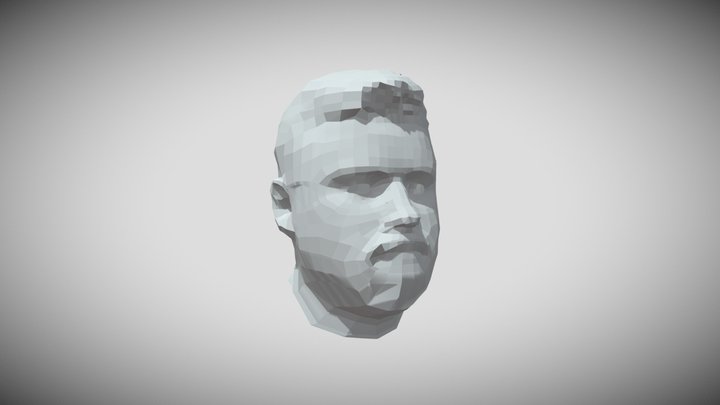 Final Face Build 3D Model