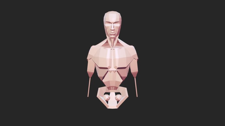 Upper Torso Study 3D Model