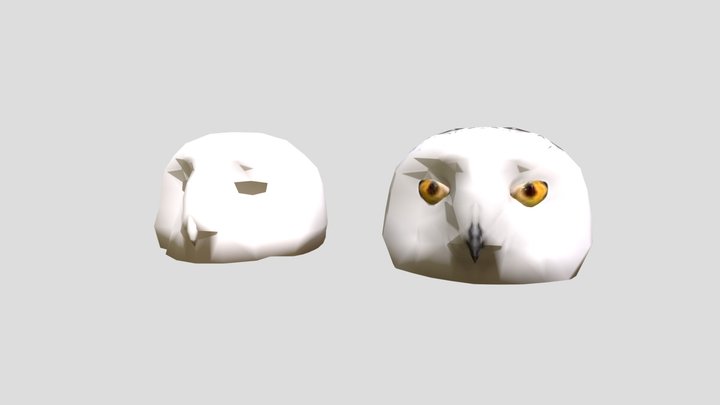 Snow Owl Head 3D Model