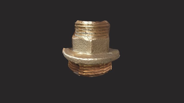 Cross Sectioned Brass Valve Nut 3D Model