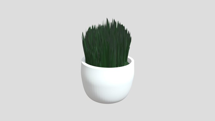 Plant 3D Model