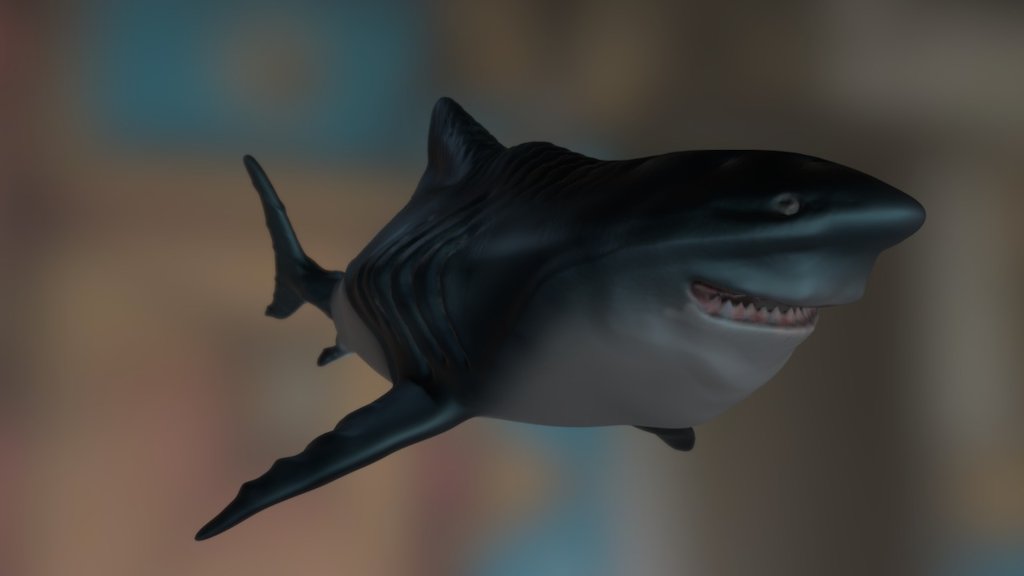 Shark
