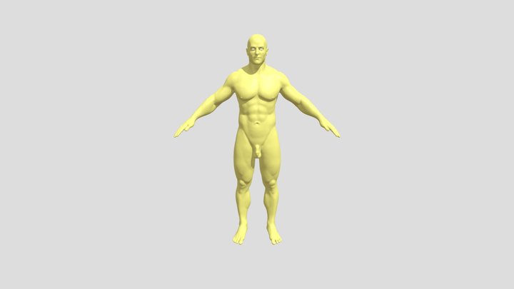 Humanbody 3D Model