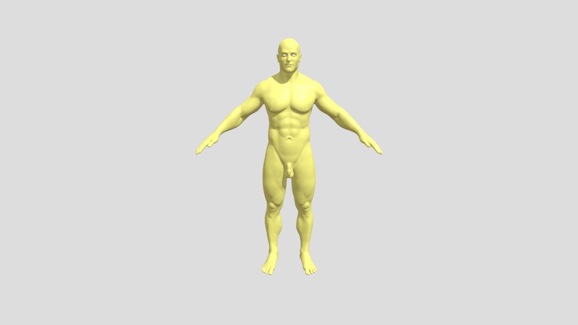 Humanbody