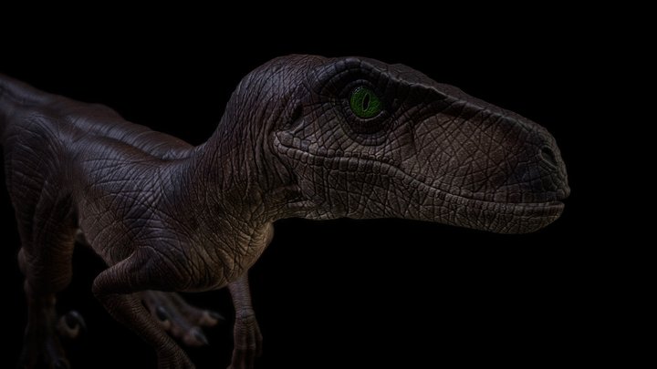 velociraptor(jurassic park) 3D Model