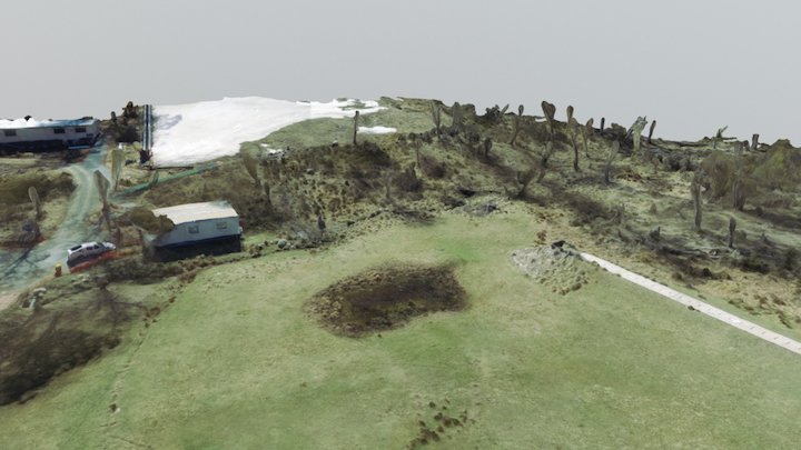 Corin Forrest Simplified 3D Mesh 3D Model