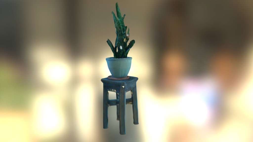 Potted Plant