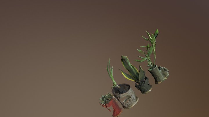 Scanning Plant 3D Model