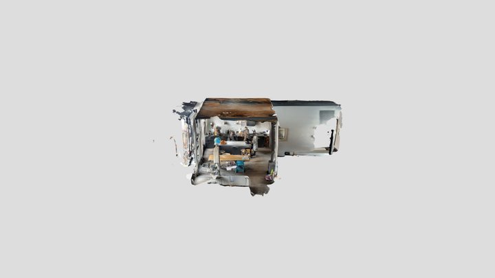 Untitled Scan 3D Model