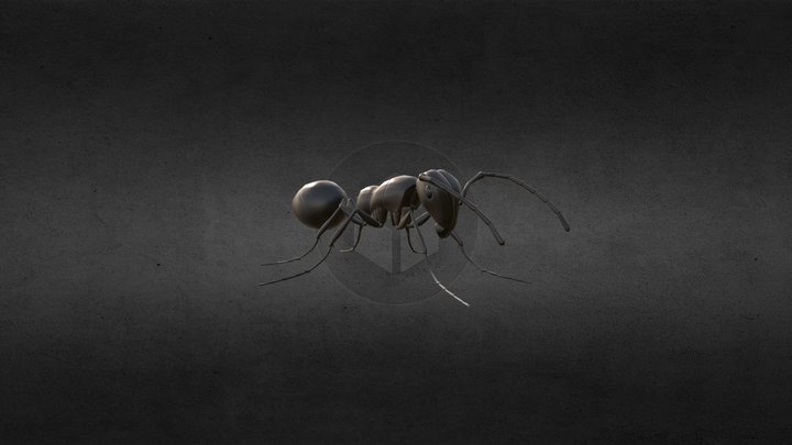 Ant LowPoly 3D Model