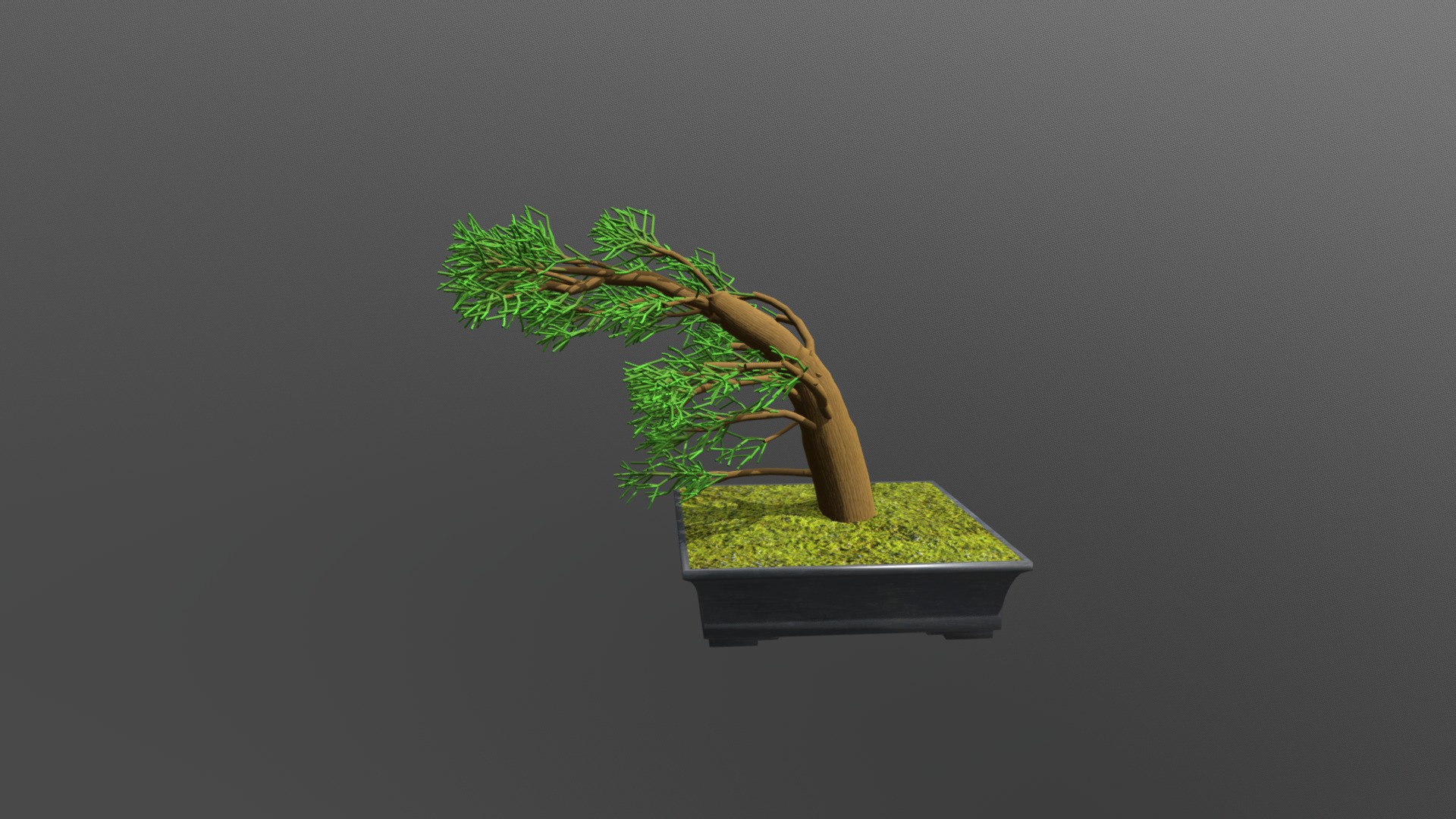 3D model Wind Swept Bonsai - This is a 3D model of the Wind Swept Bonsai. The 3D model is about a small tree in a pot.