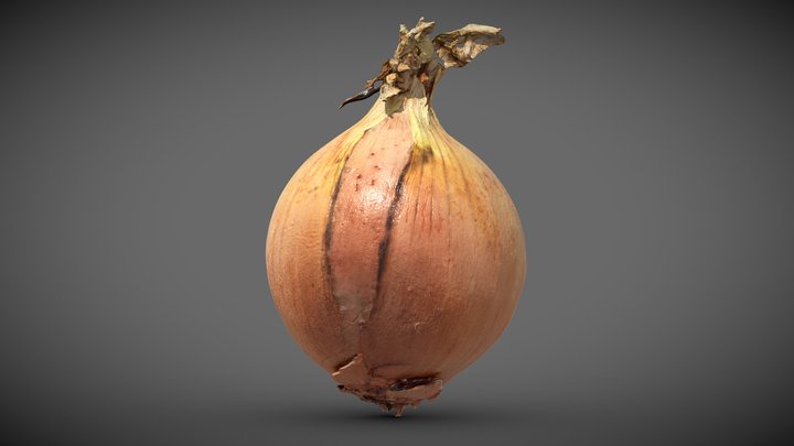 Yellow Onion scan 3D Model