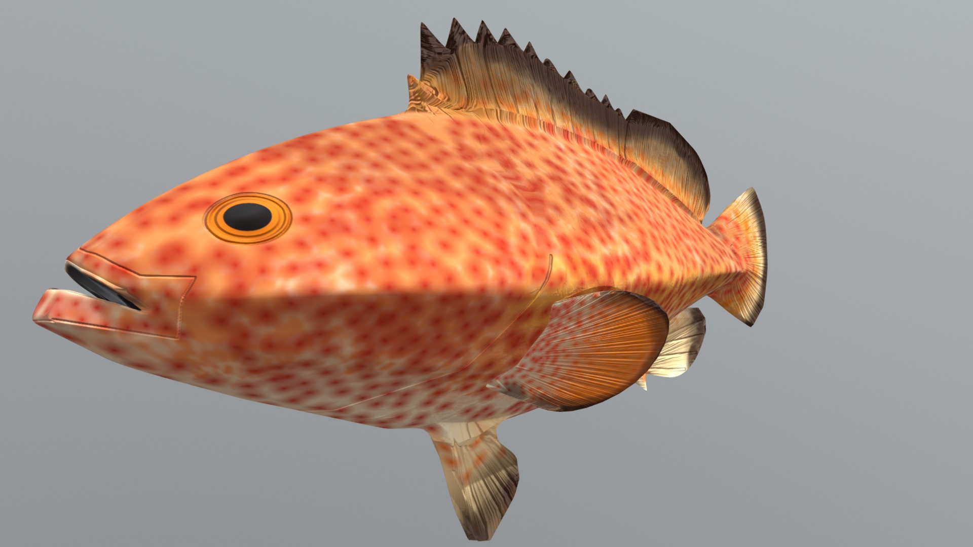 3D model Redhind Fish - This is a 3D model of the Redhind Fish. The 3D model is about a fish with a long tail.