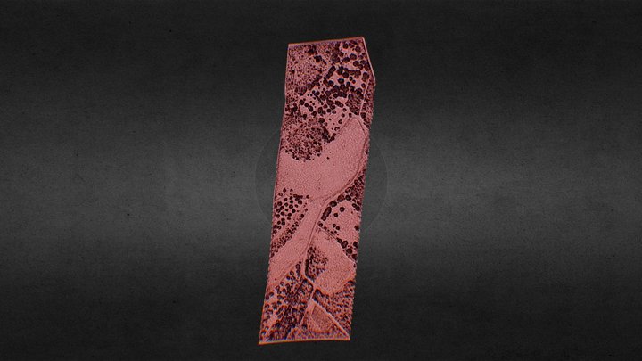 test scan 3D Model