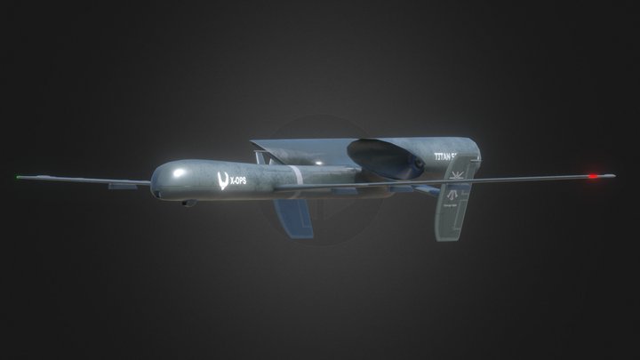X-2 Wasp 3D Model