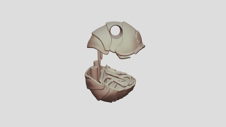 W00dlouse_v8_2pice 3D Model
