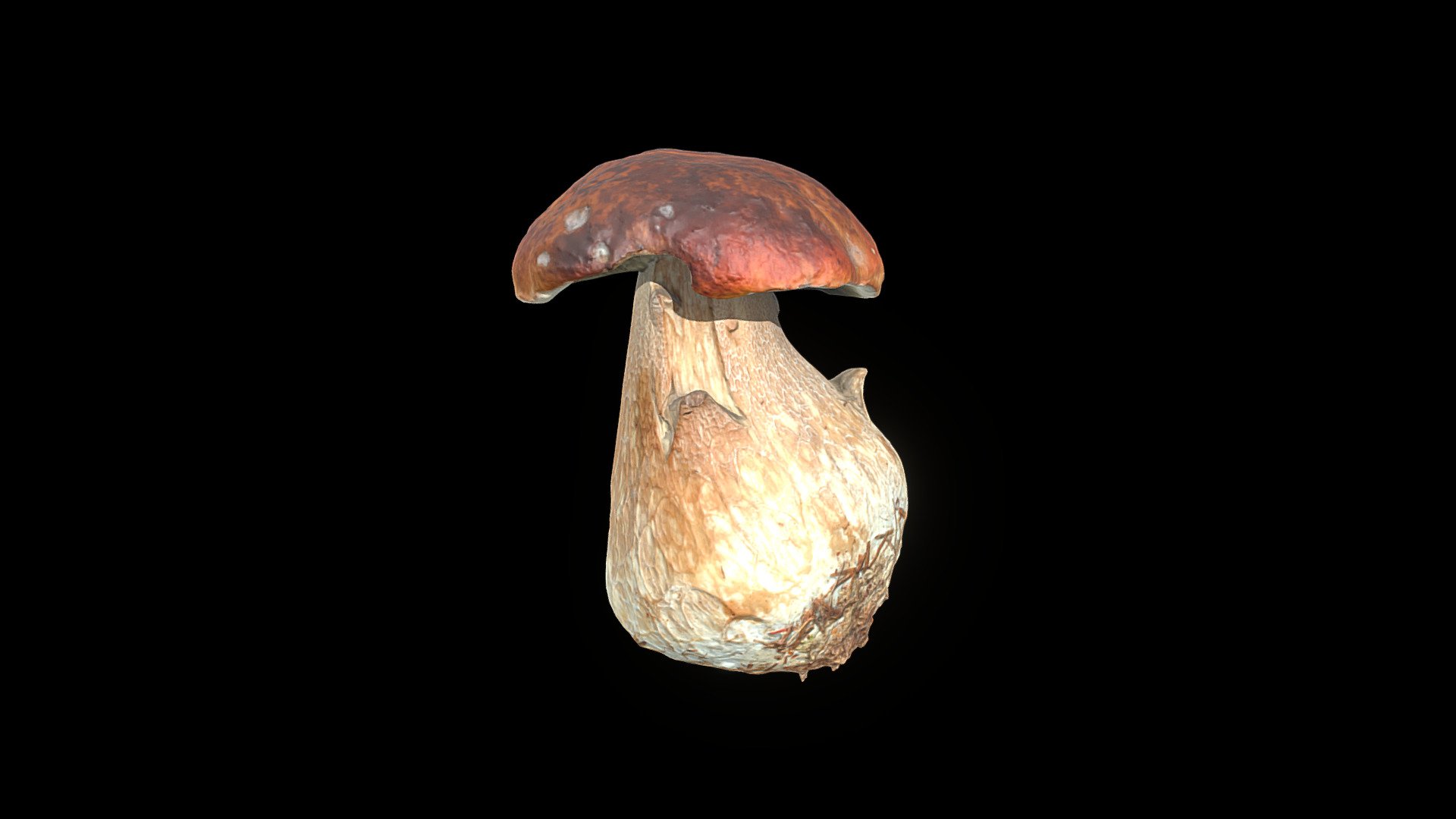 Cep Buy Royalty Free 3d Model By Jason Dovey Jasondovey 98317eb Sketchfab Store 