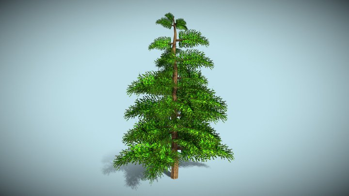 Low Fi Tree Test 01 3D Model