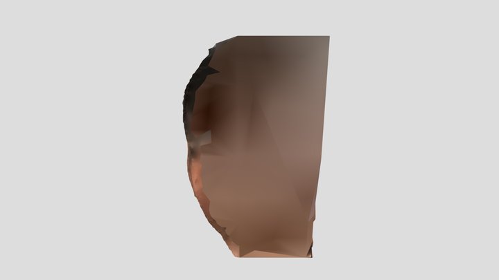 Scan 2023-04-22T17:29:53.565Z 3D Model