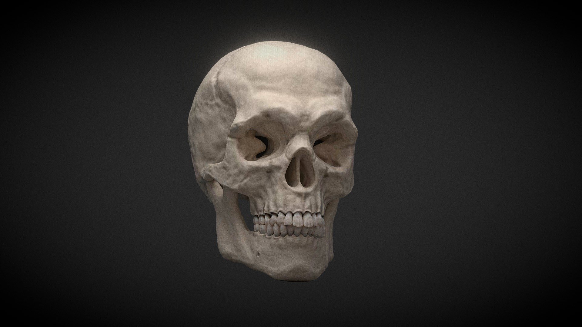 Skull