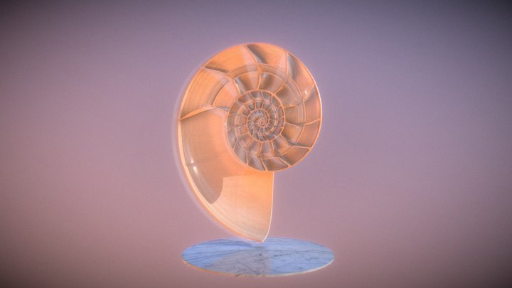 NAUTILE 3D Model