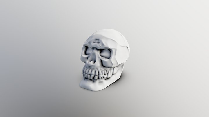Cranio (Print) 3D Model
