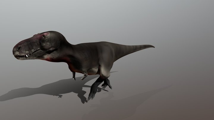 Tyrannosaurus3by Toothed Jaw NOTEX 3D Model