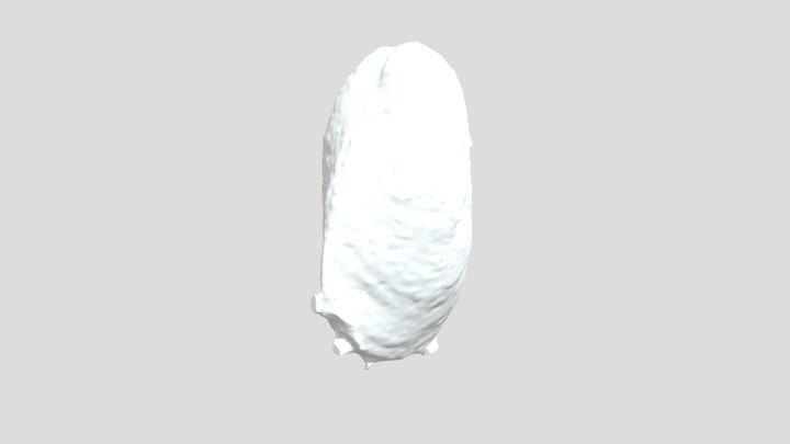 ZHB14 3D Model