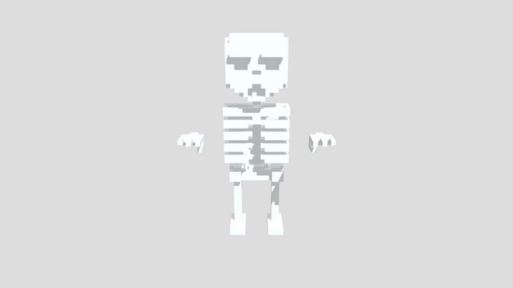 Skeleton 3D Model