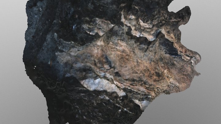 SAF_damage_Cajon 3D Model