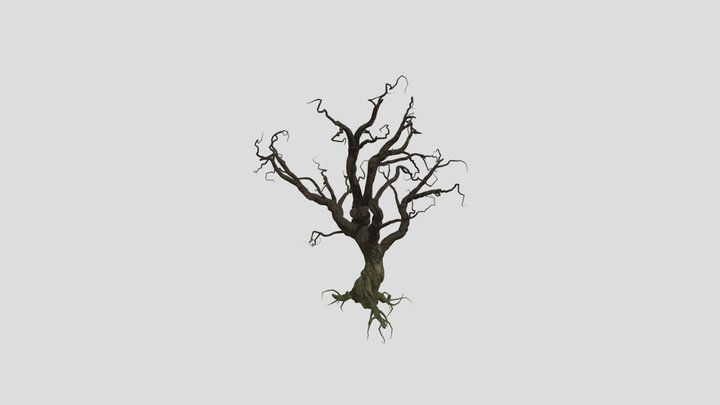 Tree 3D Model