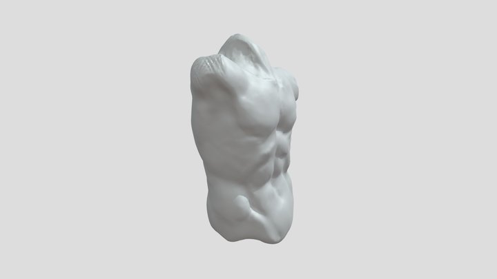 Torso 3D Model