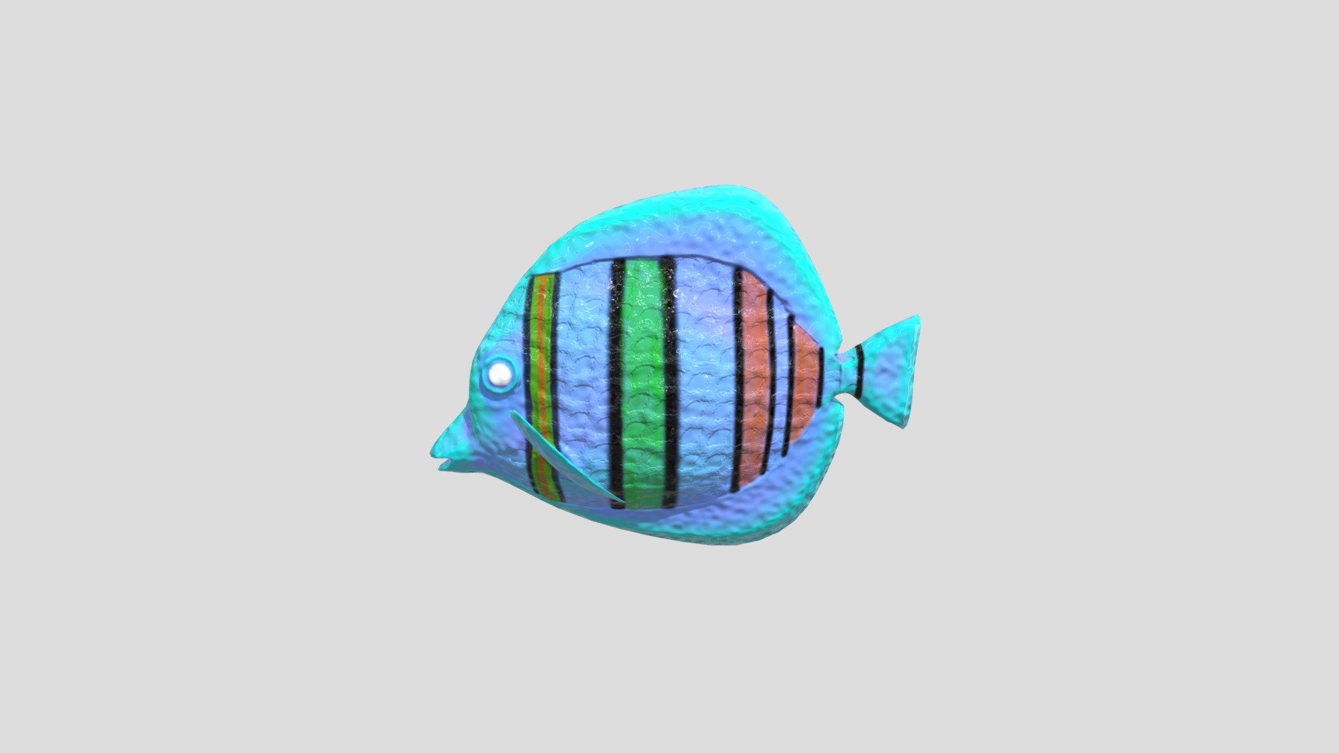 Taylor Fish