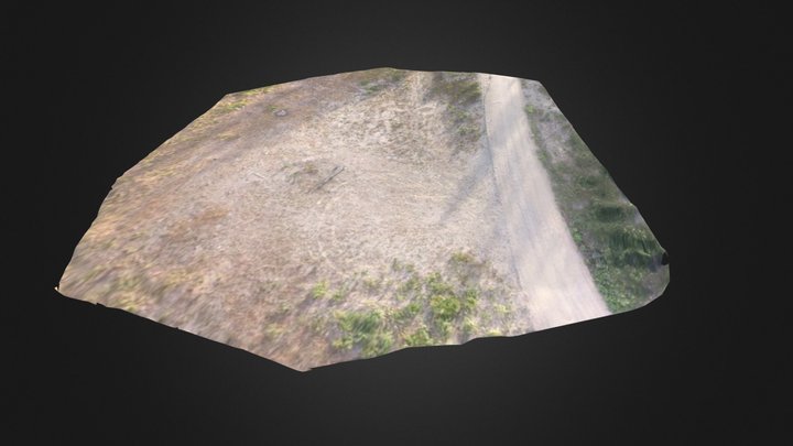 Pemberton Terrain 3D Model