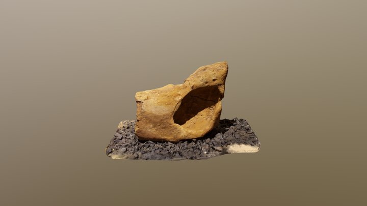 Dinosaur bone with evidence of tumor growth 3D Model