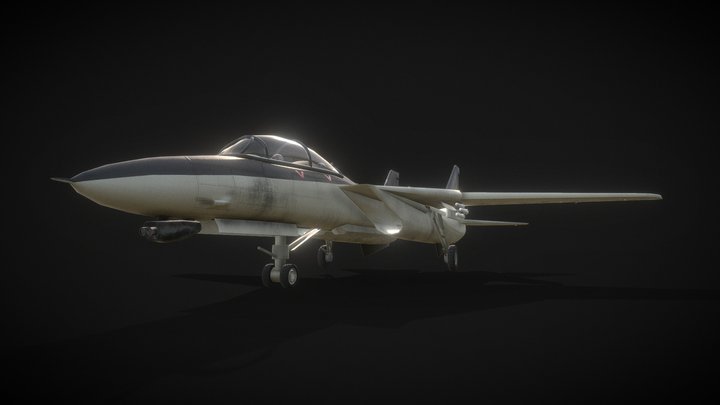 F14-Tomcat 3D Model