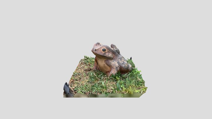 lawn frog 3D Model