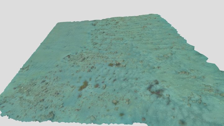 Matheson Bay 3D Model