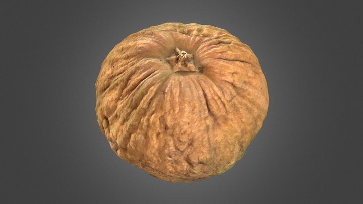 Yellow pumpkin 3D Model