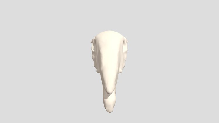 Horseskull Final 3D Model