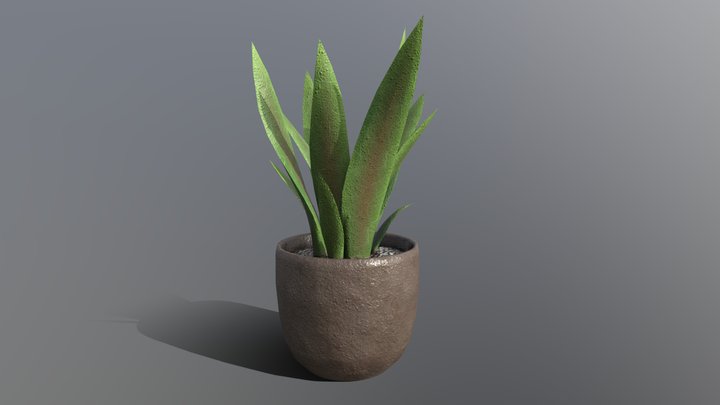 Decorative Plant Pot 3D Model