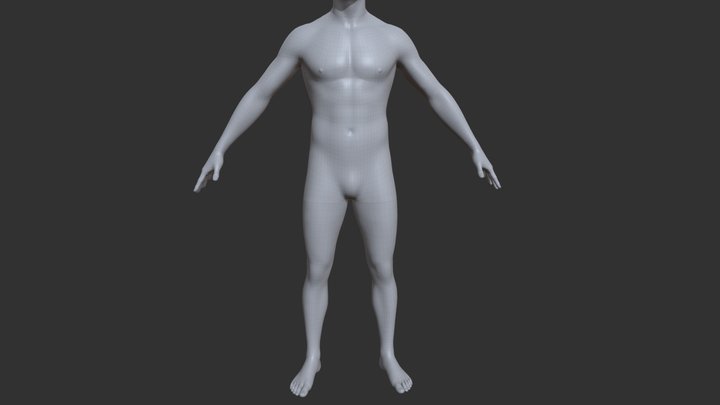 male 3D Model
