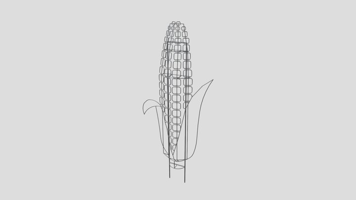 Corn 3D Model